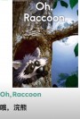 raccoon 浣熊 的复数形式是什么