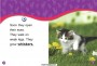 kitten 小猫 的复数形式是什么